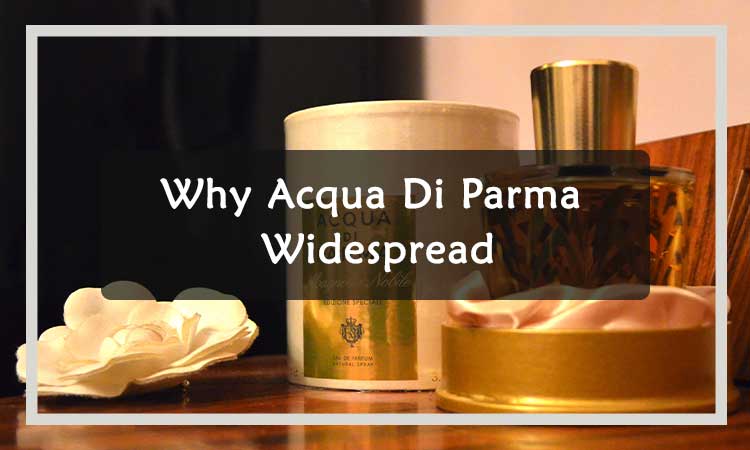 Why-Acqua-Di-Parma-is-Widespread