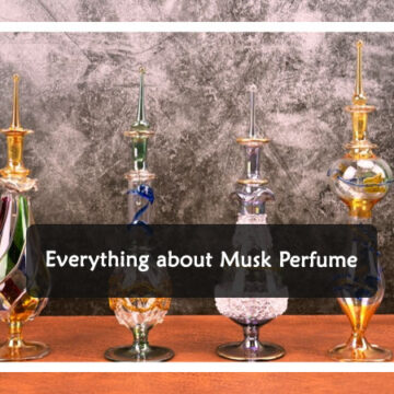 Everything You Should Know about Musk Perfume