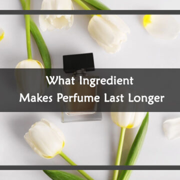 What Ingredient Makes Perfume Last Longer