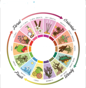 fragrance-wheel