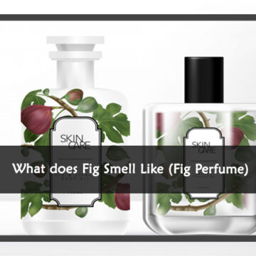 What does Fig Smell Like