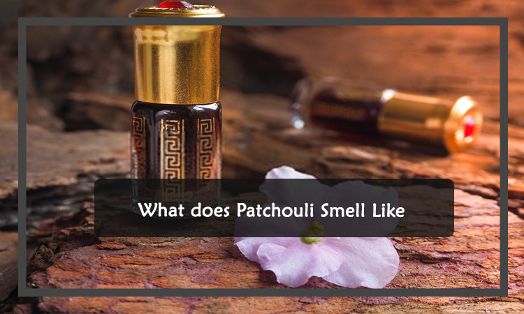 Patchouli Smell Like