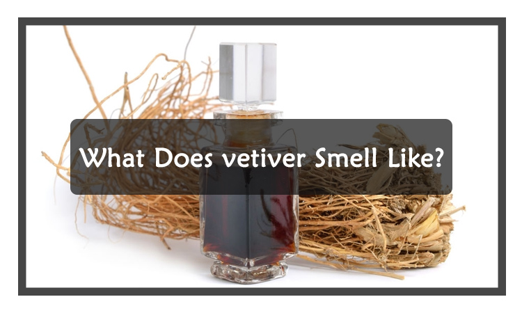 What Does vetiver Smell Like?
